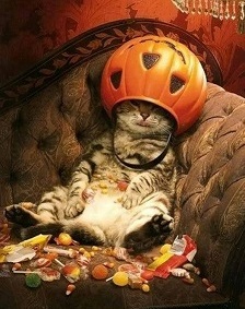 too much candy cat