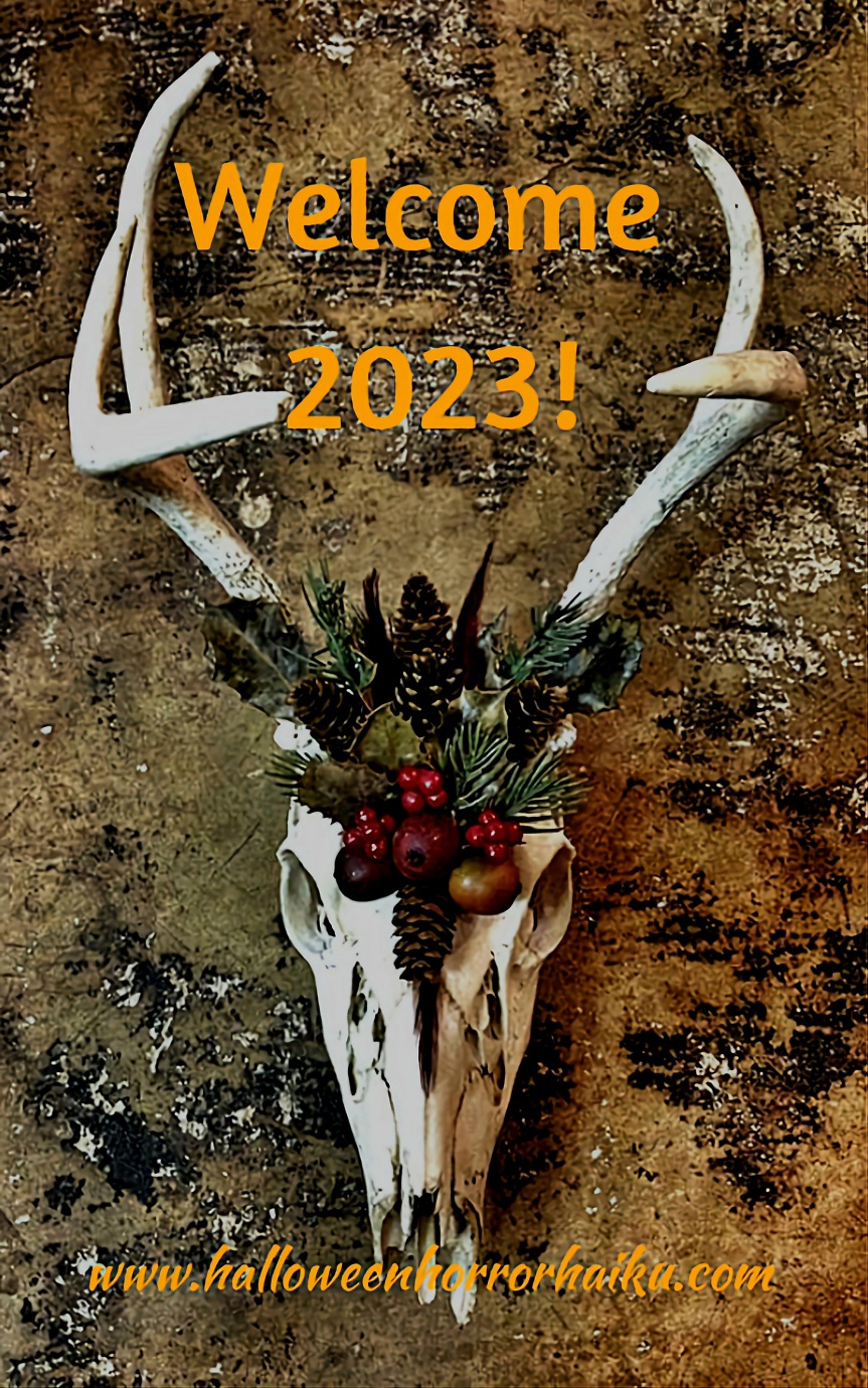 Happy New Year, 2023!
